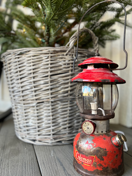 Small red Coleman lantern rusted and old sits in front of a basket with a tree in it