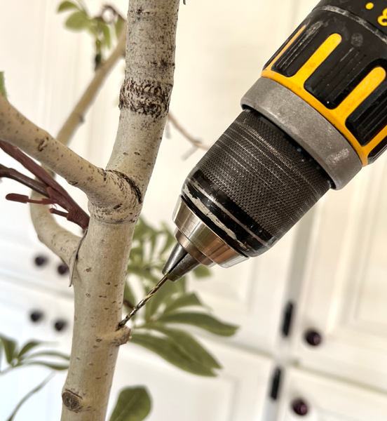 Side view of a drill and bit drilling a branch.
