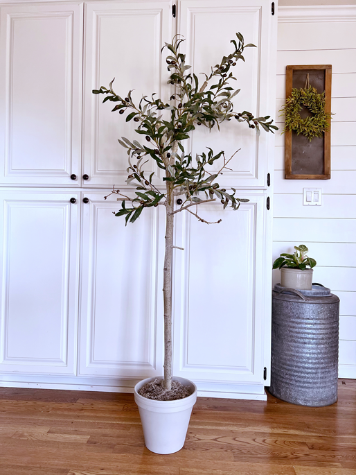 Realistic DIY small faux olive tree in a topiary shape in a white pot. 