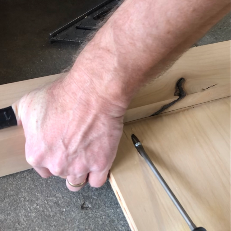 Canopy bed assembly with man hand securing pocket screw into place