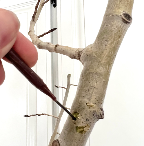A faux olive stem with plastic removed and the wire revealed going into a small drilled hole in a tree branch.