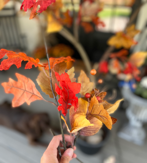 Orange, brown, and yellow vibrantly colored fall leaf stem. 