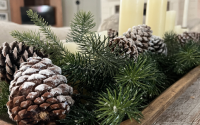 Easy DIY Winter Frosted Pinecones